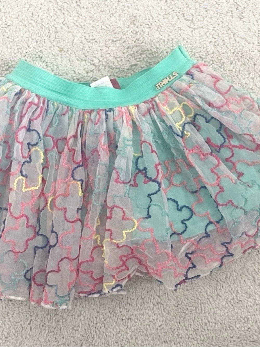 Colorful Tulle Skirt with Embroidered Design- Truly Scrumptious
